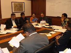 Working Group Discussions (August 24 to 26, 2009)