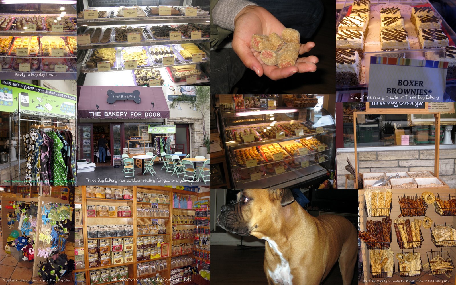 BigDoggieLove The Dog Bakery