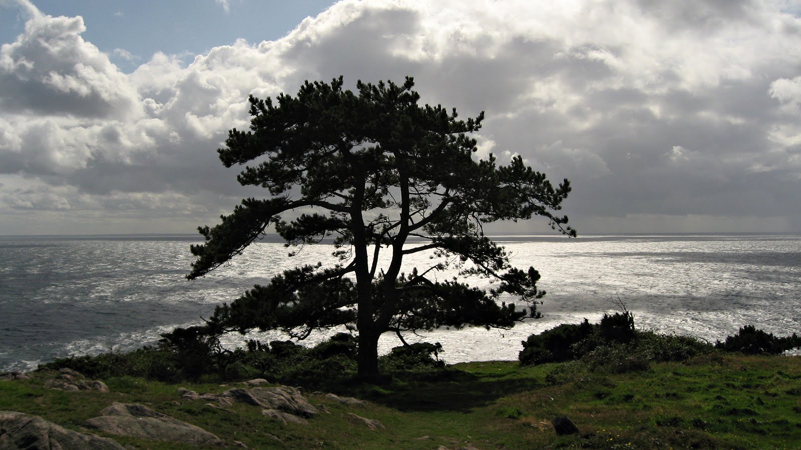 Banco de Imágenes Gratis Free Amazing