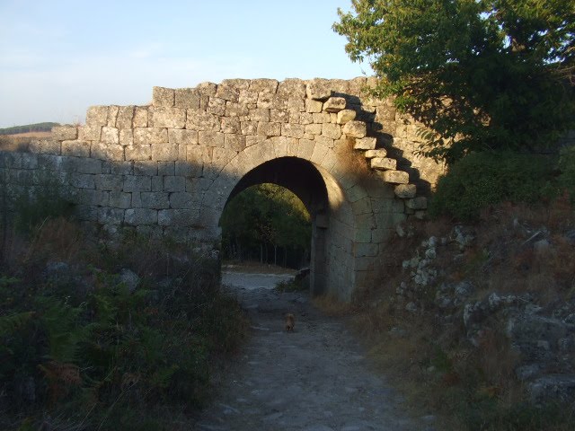 [DSCF1730.JPG]