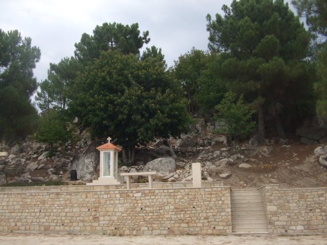 [DSCF2271.JPG]