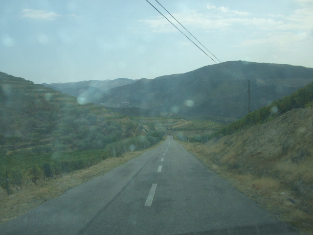 [DSCF2323.JPG]