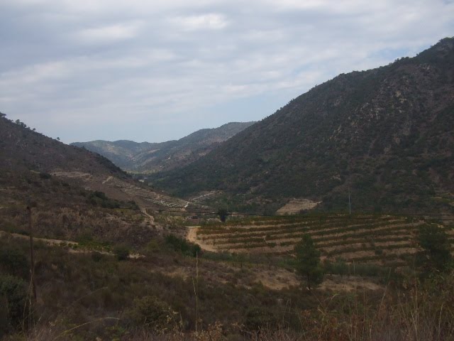 [DSCF2316.JPG]
