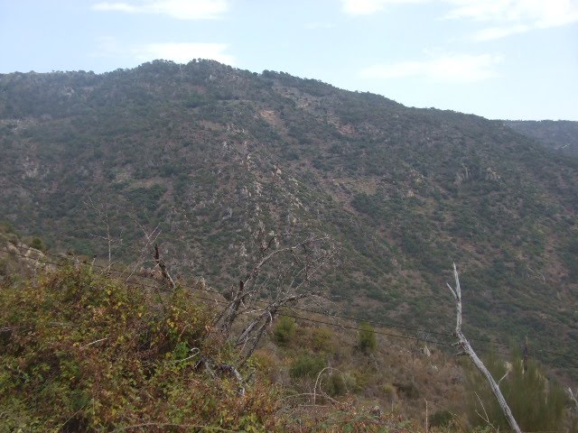[DSCF2301.JPG]