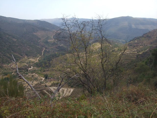 [DSCF2300.JPG]