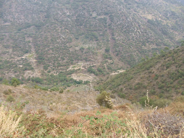 [DSCF2294.JPG]
