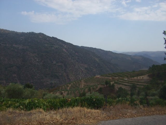 [DSCF2287.JPG]