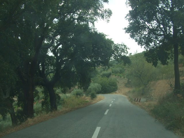 [DSCF2289.JPG]