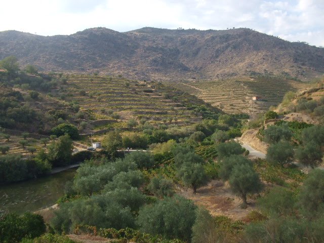 [DSCF2405.JPG]