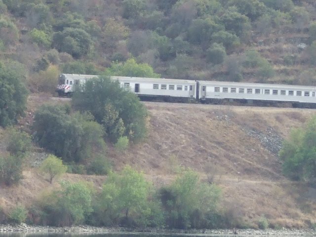 [DSCF2400.JPG]