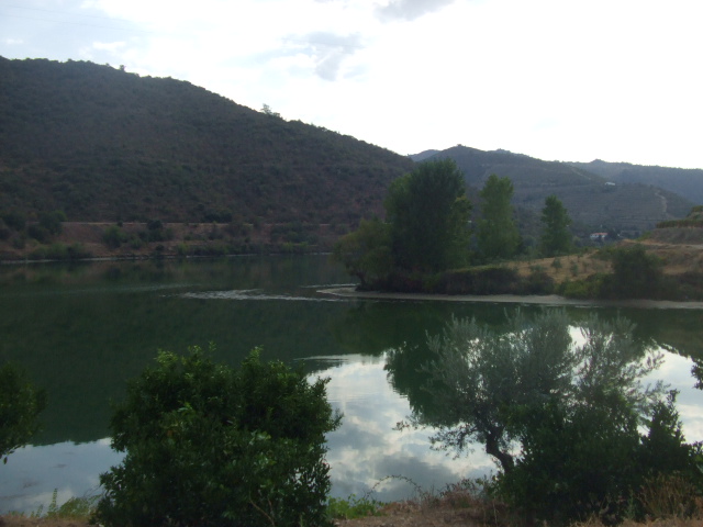 [DSCF2399.JPG]