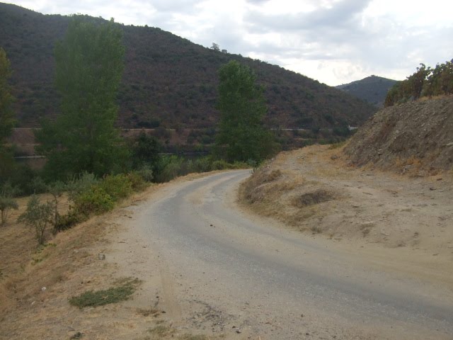 [DSCF2380.JPG]