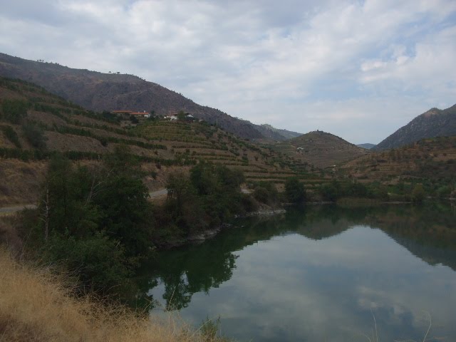 [DSCF2377.JPG]