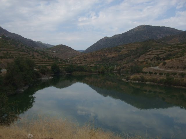 [DSCF2374.JPG]