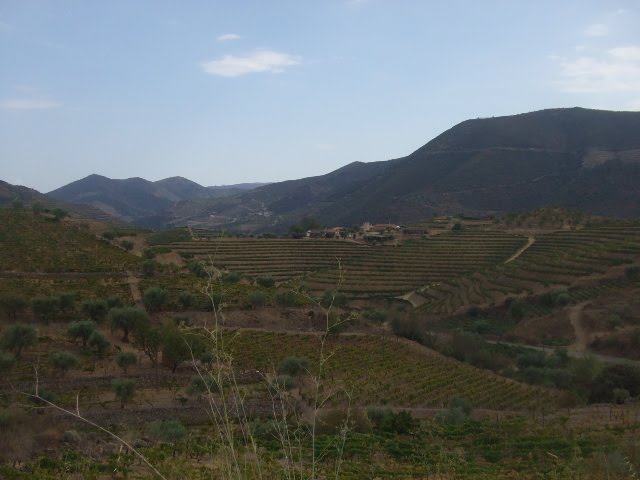 [DSCF2354.JPG]