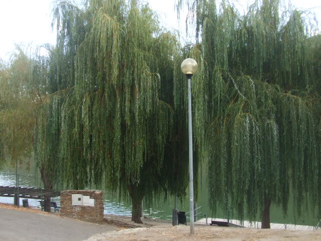 [DSCF2364.JPG]