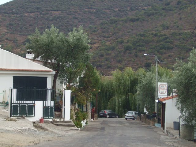 [DSCF2362.JPG]
