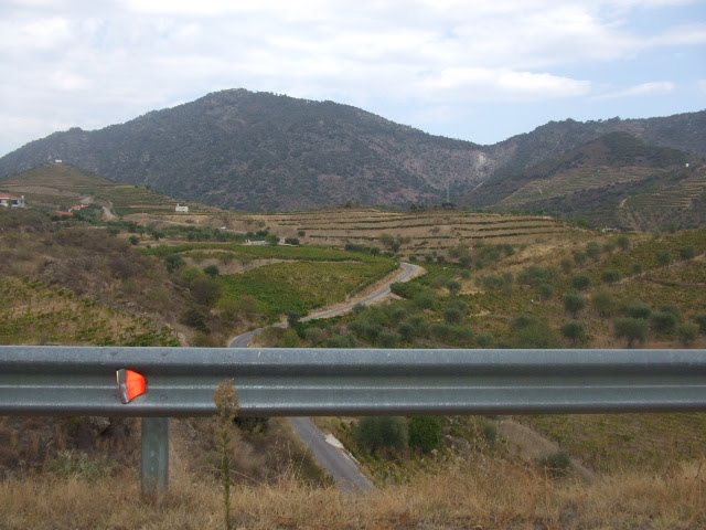 [DSCF2358.JPG]