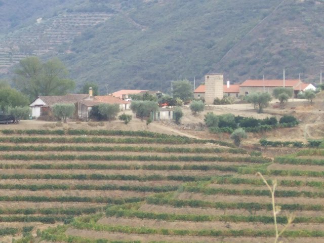 [DSCF2356.JPG]