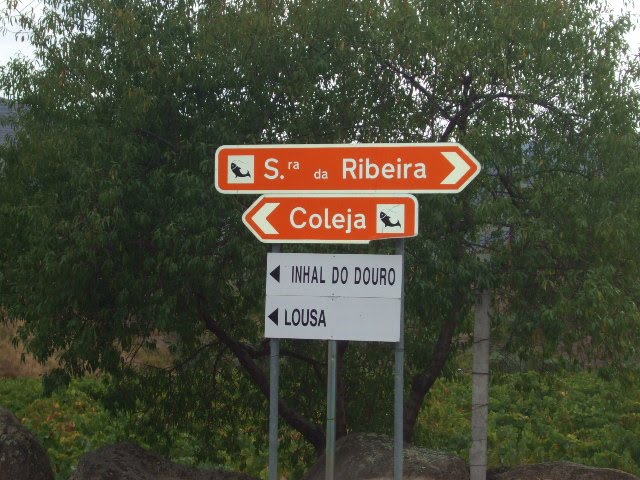 [DSCF2346.JPG]