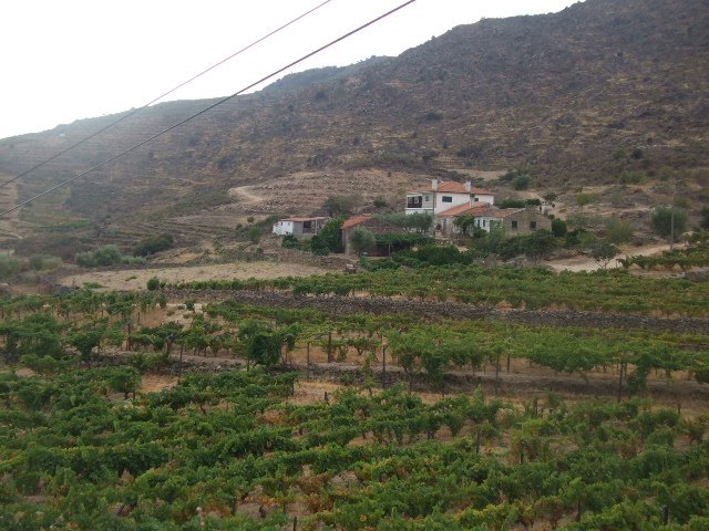 [DSCF2343.JPG]