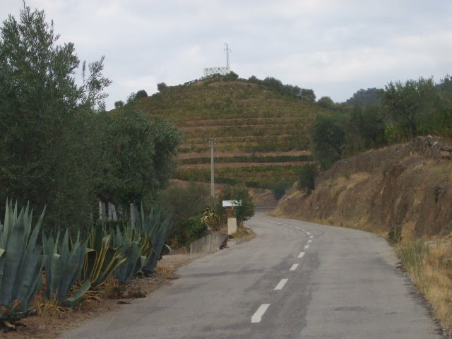 [DSCF2341.JPG]