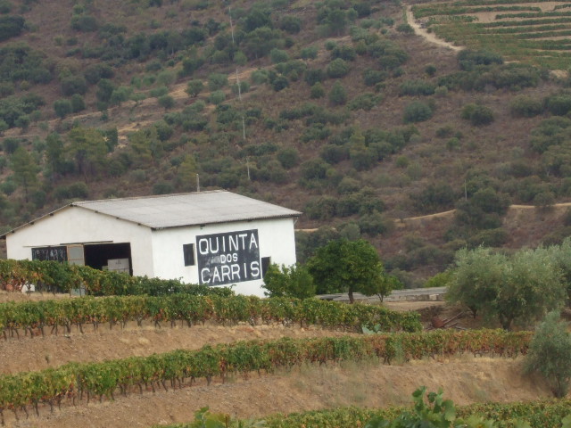 [DSCF2338.JPG]