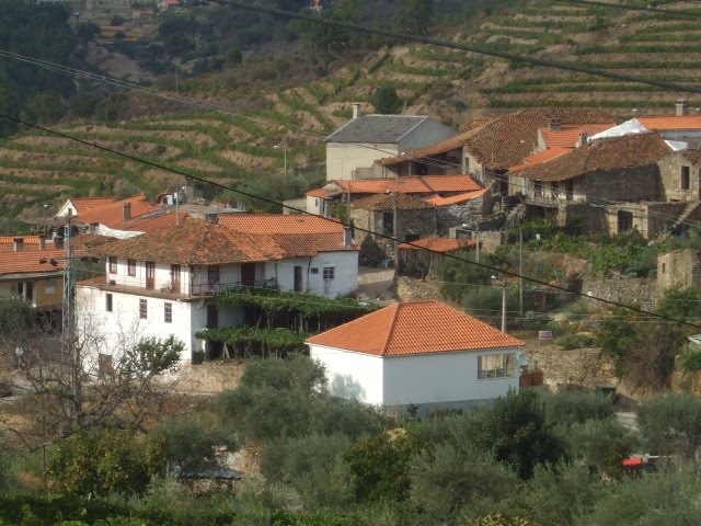 [passeios+134.JPG]