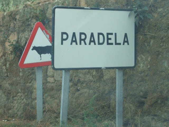 [passeios+110.JPG]