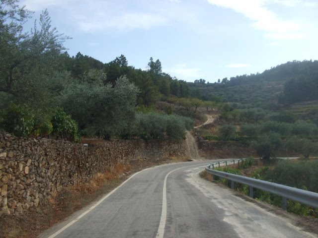 [passeios+100.JPG]