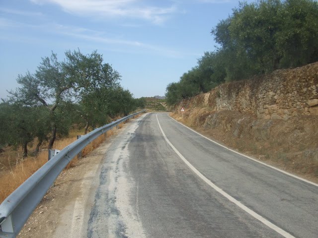 [passeios+099.JPG]