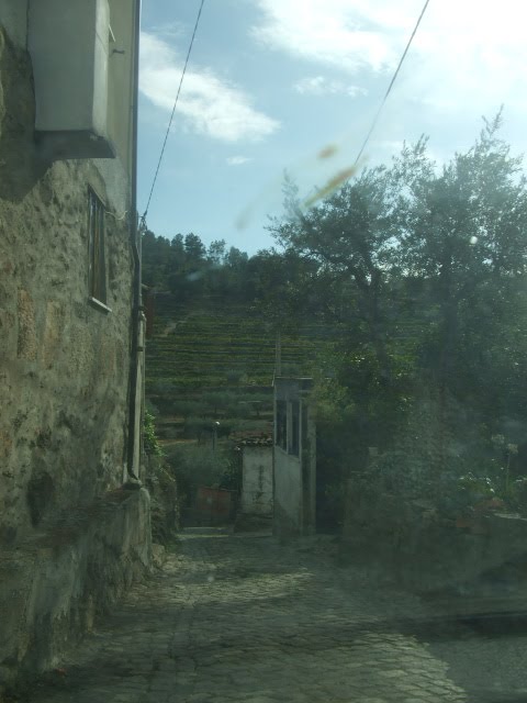 [passeios+082.JPG]