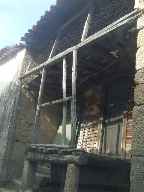[passeios+073.JPG]