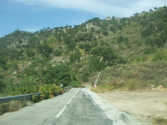 [passeios+015.JPG]
