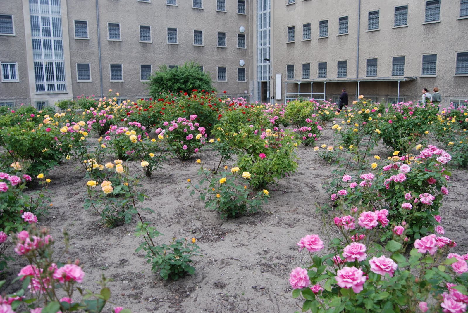 Principal Sciarretta's Berlin Blog: Visit to former Stasi prison