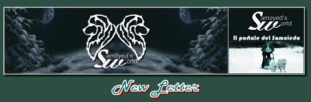 Samoyed's World News Letter