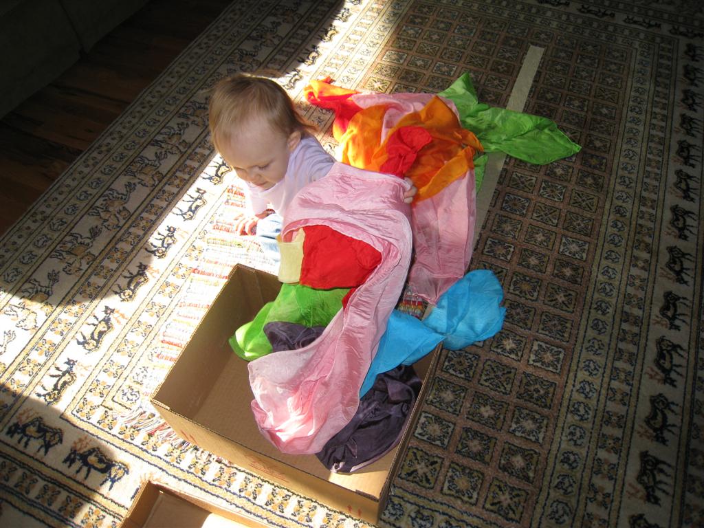 [IMG_2388+(Large).JPG]