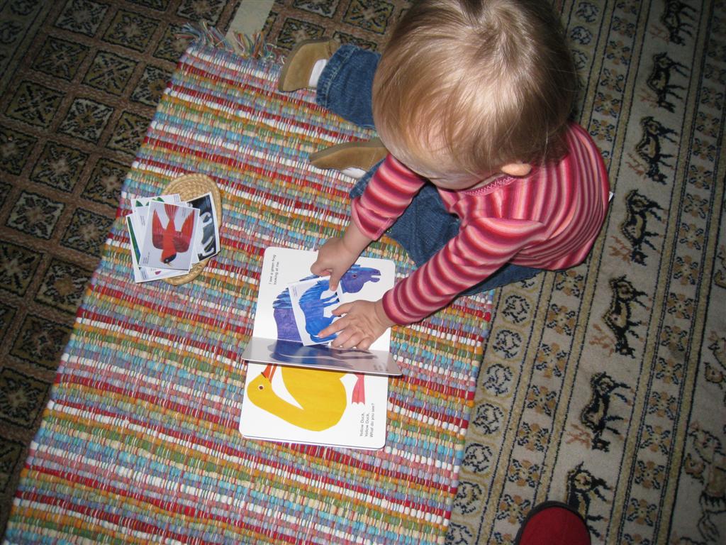 [IMG_2719+(Large).JPG]