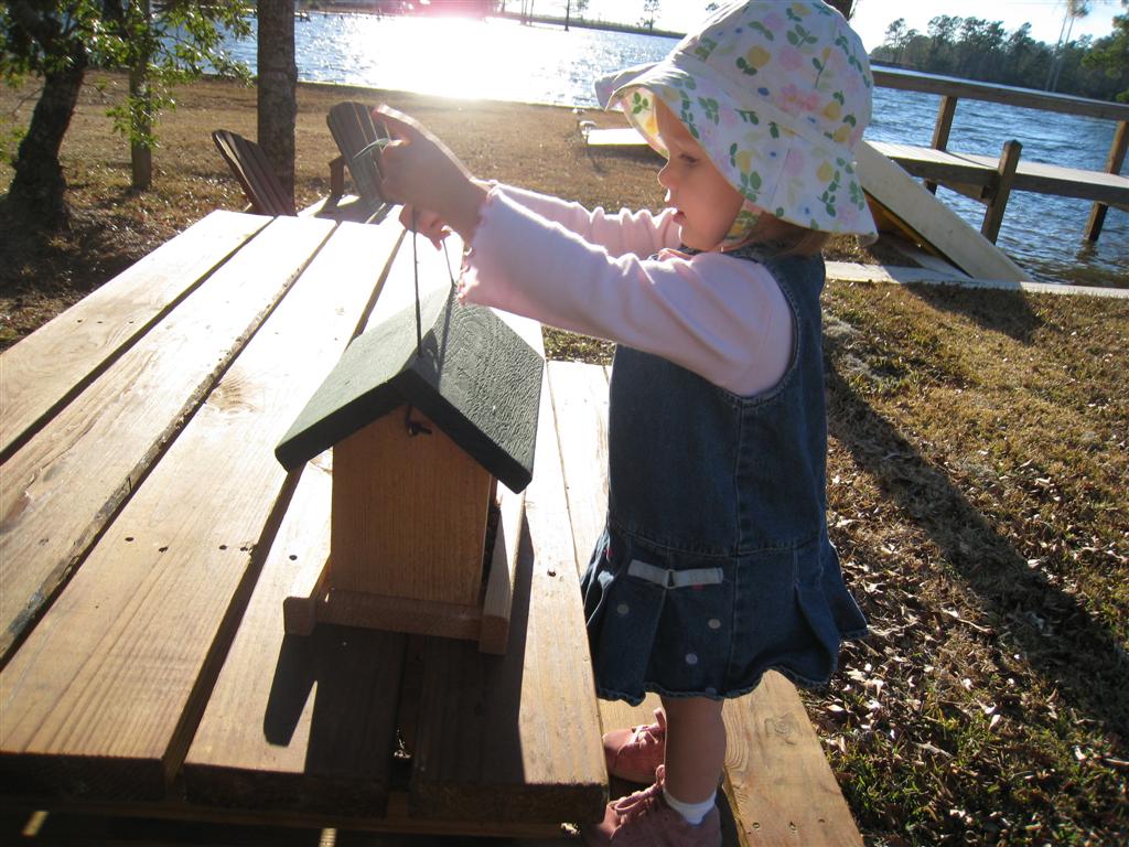 [IMG_3255+(Large).JPG]