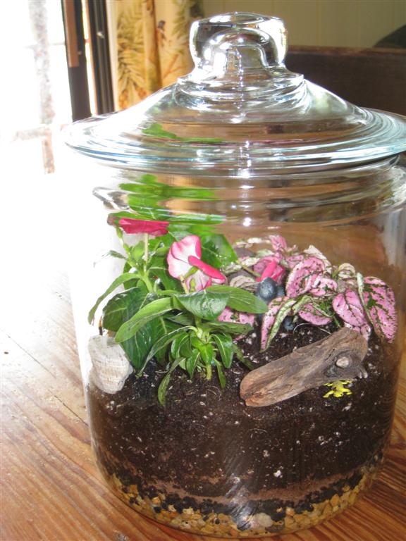 [IMG_5512+(Large).JPG]