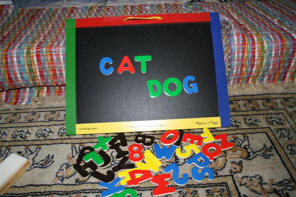 [IMG_7960+(Large).JPG]