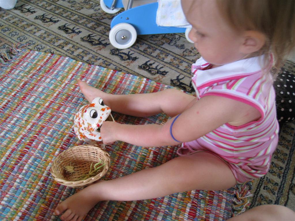 [IMG_6625+(Large).JPG]