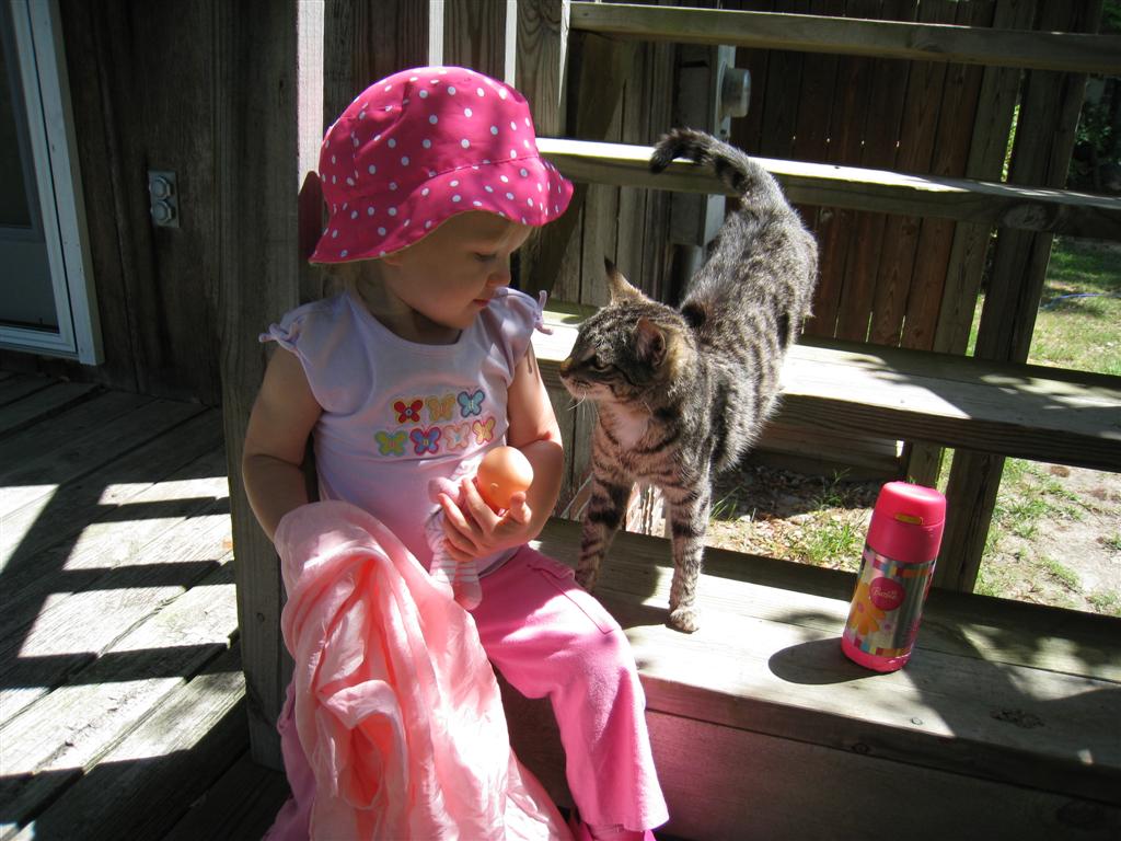 [IMG_6480+(Large).JPG]