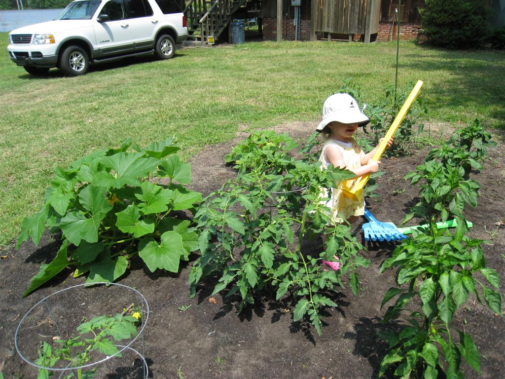 [IMG_7200+(Large).JPG]