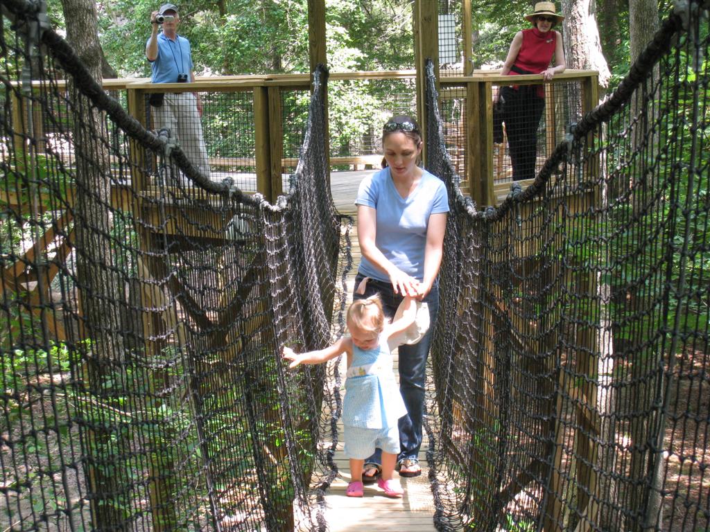 [IMG_7288+(Large).JPG]