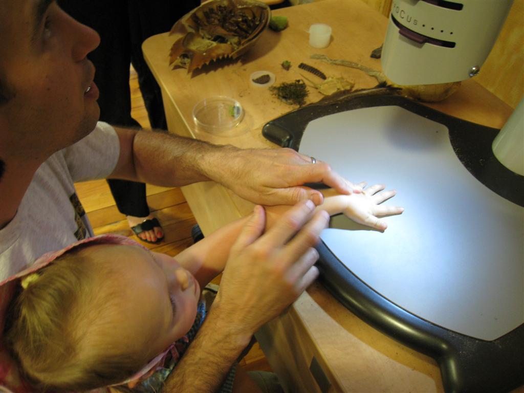 [IMG_7268+(Large).JPG]