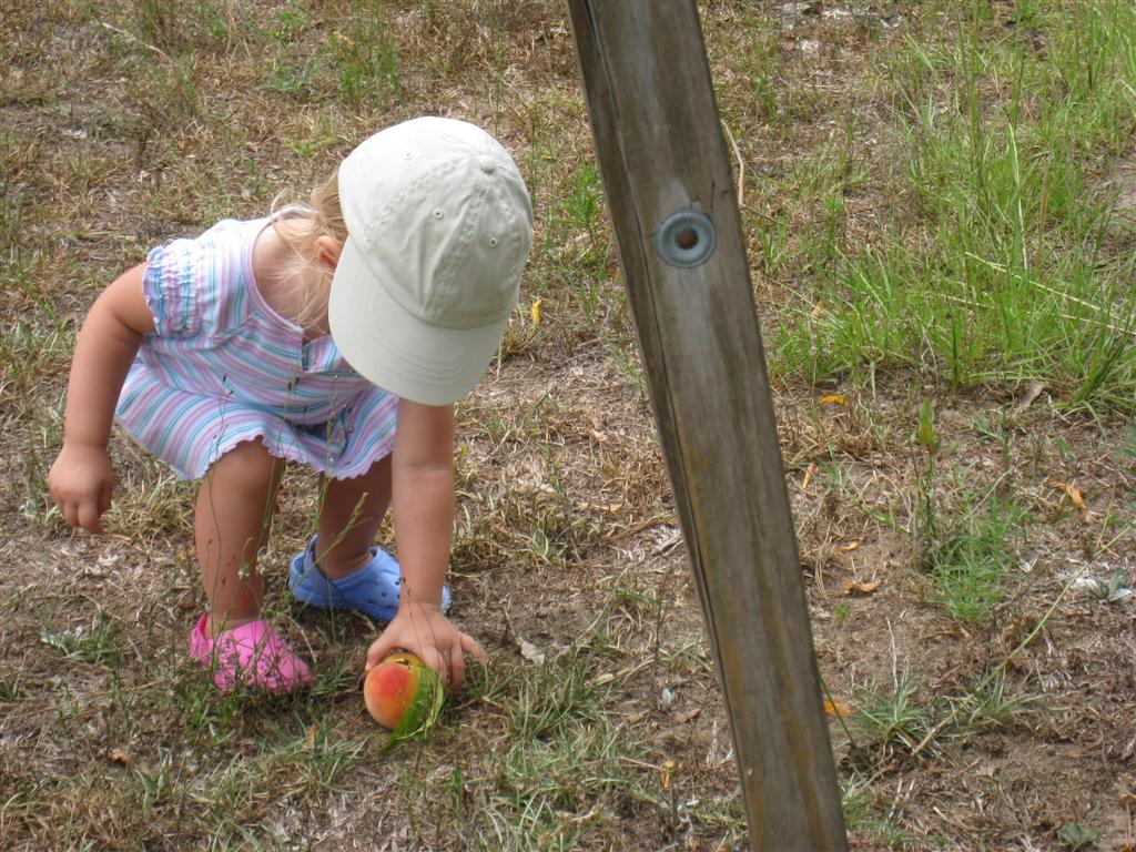 [june+21+2008+011+(Large).jpg]