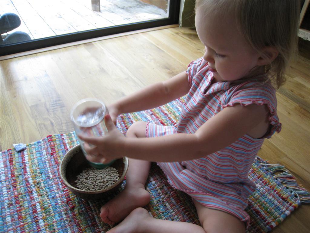 [IMG_8640+(Large).JPG]