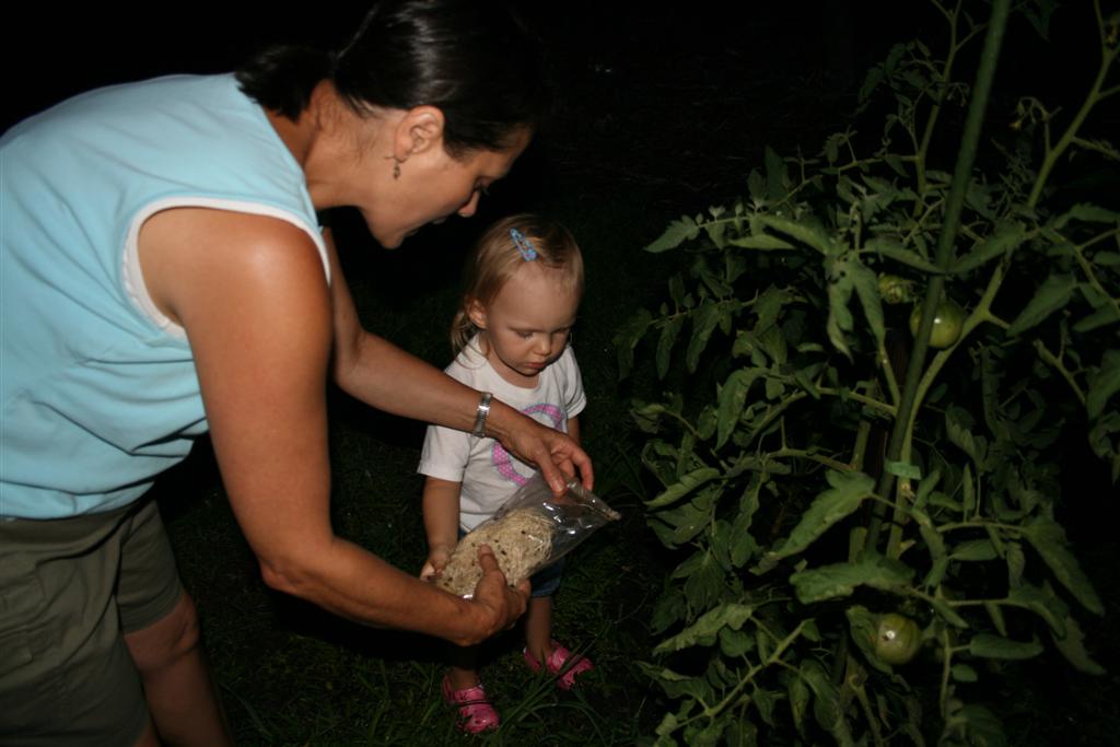 [IMG_8914+(Large).JPG]