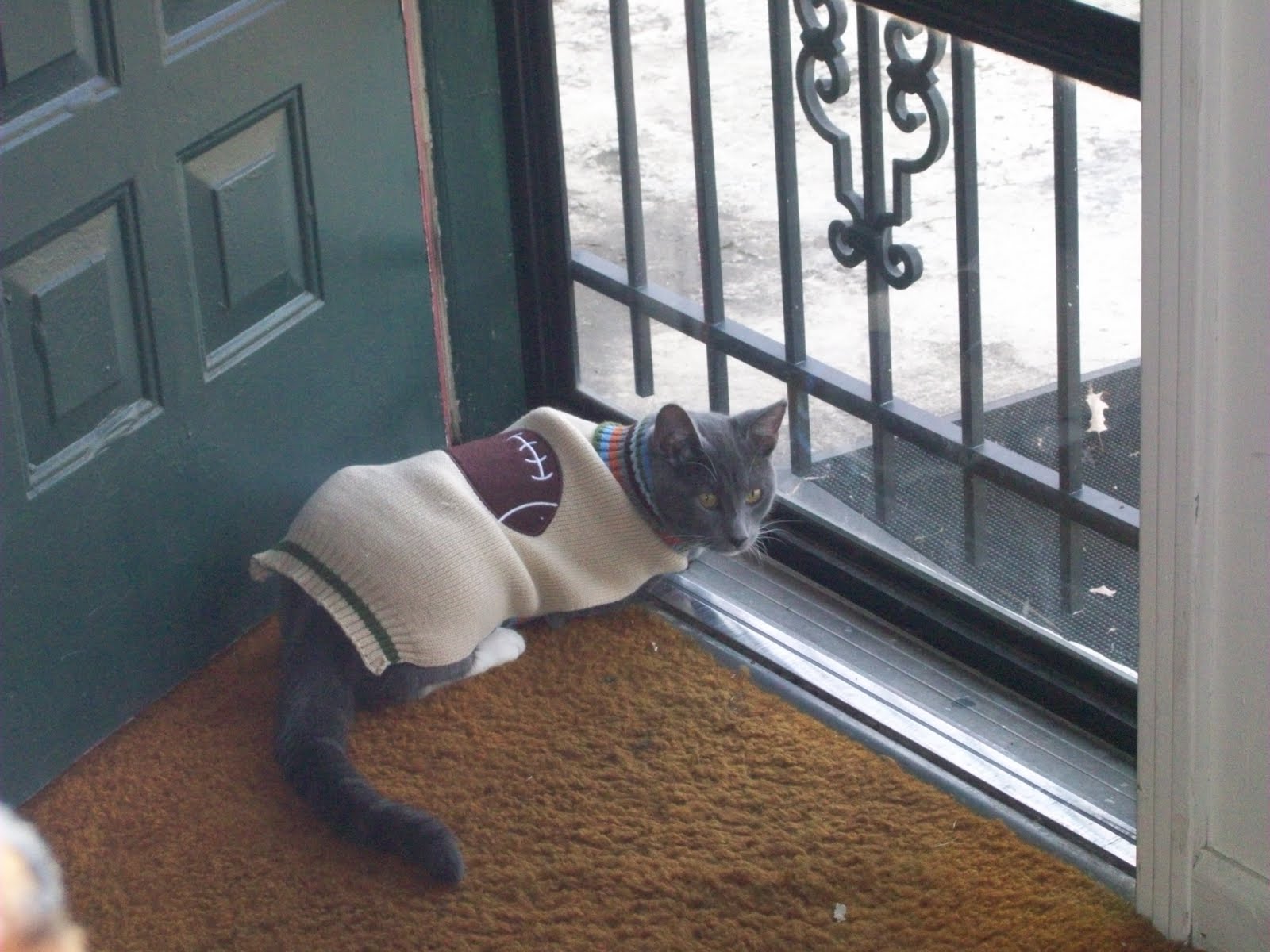 COMRADE "WOOGIE" GONZALES FOOTBALL KITTY!!!